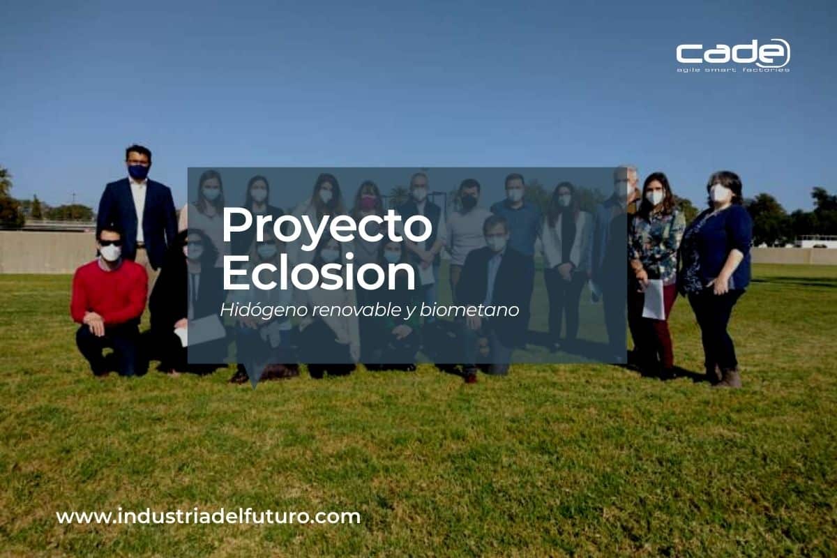 proyecto eclosion