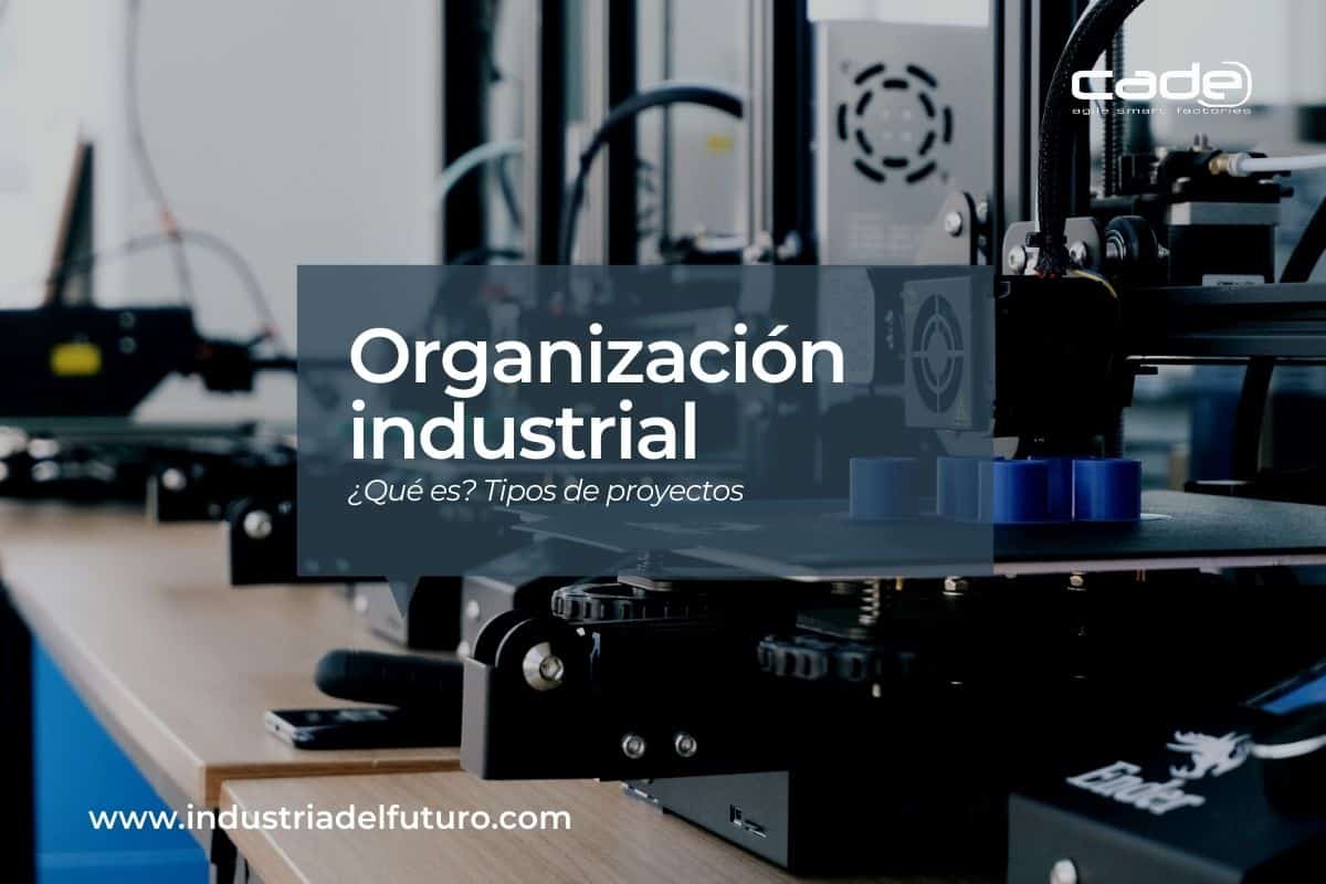 Organizacion industrial